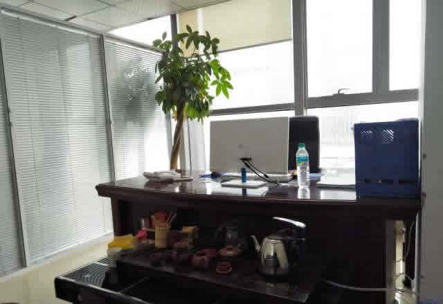 (出租) 出租高新開發區紫陽大道泰豪科技廣場純寫字樓